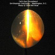 Chrysoberyl Cats eye