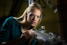 Professors' super waterproof surfaces cause water to bounce like a ball