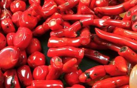 Beads Lovers Lane Dallas