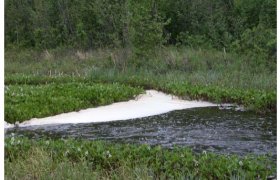 What causes water to Bead up?